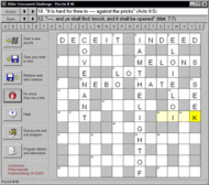 Bible Crossword Challenge screenshot